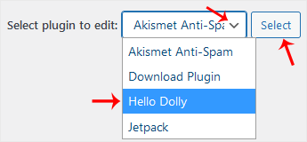 WordPress plugin file editor menu