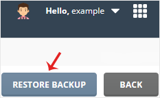 Directadmin topside restorebtn