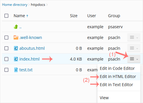 Plesk filemanager edit file contextmenu
